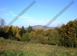 Photo Texture of Background Autumn Nature  0001